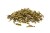 DSC_9361-do-internetu.jpg